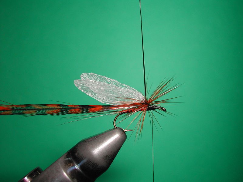 Tying_Agostinon_Roncallos_winged_Paraloop_dry_fly_5