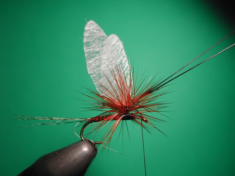 Tying_Agostinon_Roncallos_winged_Paraloop_dry_fly_7