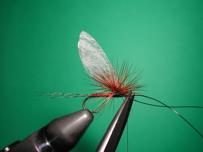 Tying_Agostinon_Roncallos_winged_Paraloop_dry_fly_8