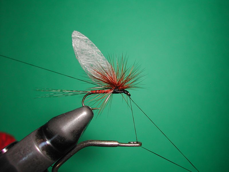 Tying_Agostinon_Roncallos_winged_Paraloop_dry_fly_9